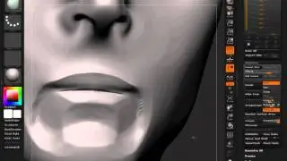 Anatomy of the Face: The Mouth