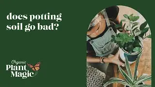 Does Potting Soil Go Bad? | Organic Plant Magic