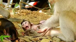 DON'T CRY CINN....THAT IS YOUR MISTAKE!