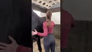 Tack up vids ♥️