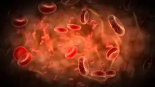 Bloodcell