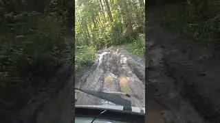 лесная дорога.