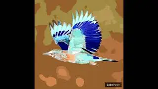 Летящая птица