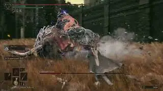 Commander Gaius Boss Fight - Easy Mode