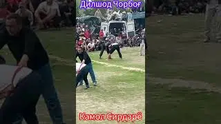 Кураш Чорбог Дилшод Полвон