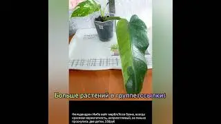 17.10.23 