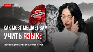 Как мозг мешает вам учить язык: секреты нейробиологии для изучения языков