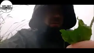 Wild Edibles in a Thunderstorm