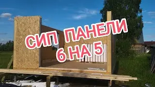 Дом из сип панелей 6 на 5/1-4 день/