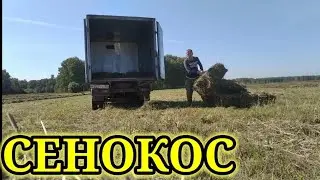 СЕНОКОС 2021.