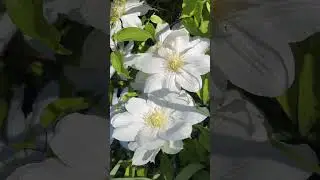 10 травня 2024 р.