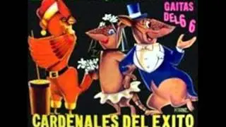 Cardenales del Exito - Gaita y Ritmo