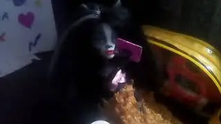Мое типичное утро!😂🔫🔥🌚