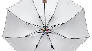 2 Fold Mono Silver Umbrella