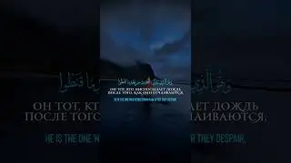 Аят из суры «Совет»