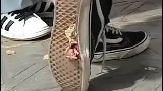 Candid Crush Compilation