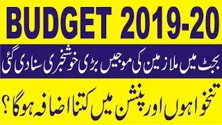 New Good News for Govt Employees Salary and Allowance About Budget 2019-20