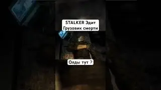 Тут есть олды нашего любимого сталкера ? #эдит #Сталкер #stalker