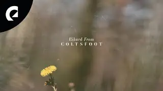 Rikard From - Coltsfoot