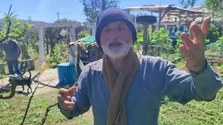 Sergio Semerdjian em Ferraz Cultivando História da Fruticultura