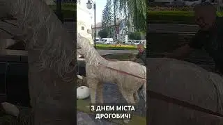 З днем міста Дрогобич!