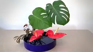 How To Make An Ikebana Style Anthurium Flower Design