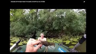 ЛОВИМ КРУПНЫЕ РАКИ РУКАМИ /КУКУРУЗА НА УГЛЯХ