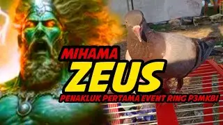 Zeus ngamuk, juara lomba ring P3MKBI Semarang calon mahal
