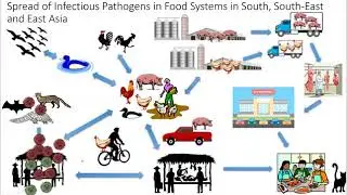 Effectiveness of One Health Platforms for Pandemic Preparedness and Response