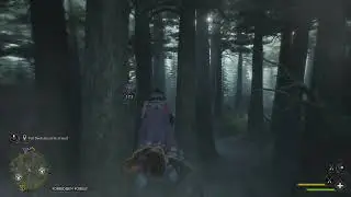 Hogwarts Legacy Part 72