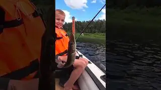 Западная Двина на щуку.Юный рыбак в деле. #западнаядвина #рыбалканаспиннинг #рыбалка #tohatsu