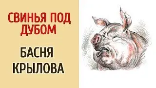 БАСНЯ КРЫЛОВА: СВИНЬЯ ПОД ДУБОМ.