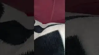 farting on command 2