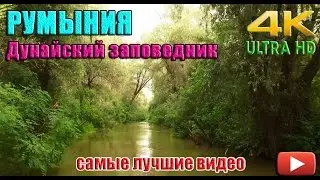 Румыния. Дельта Дуная. Красивая природа в 4K