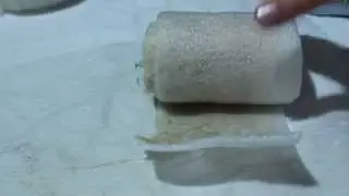 Новый способ проращивания семян и выращивания рассады в рулете.