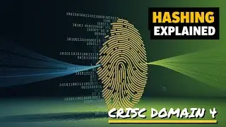 Asymmetric Algorithms & Hashing Explained Simply | CRISC Domain 4 | Secure Data & Digital Signatures