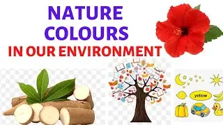 Nature Colours|| Colours in Our environment|| Primary Art Lesson