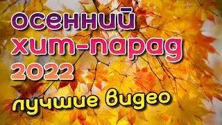 Осенний хит парад 2022 - Лучшие видео