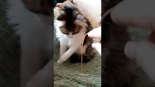 Филюша и все,все,все)))