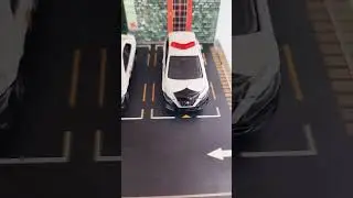Which is your favourite Japanese police car?