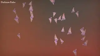 Sharon Van Etten - Darkness Fades (Lyric Video)