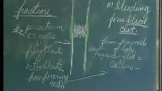 Integrative Biology 131 - Lecture 06:  Skeletal System