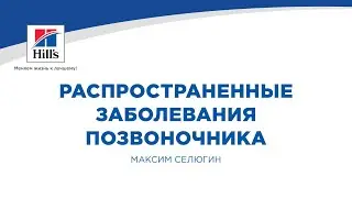Вебинар на тему: «Распространенные заболевания позвоночника». Лектор - Максим Селюгин.