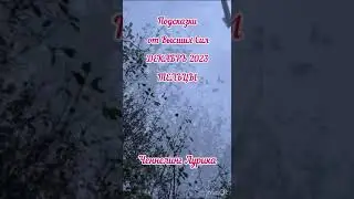 Тельцы 🔥Прогноз на декабрь 2023 
