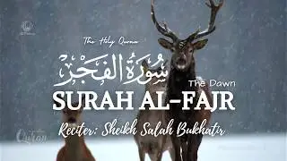 Reflect on the Beauty of Surah Al-Fajr 🌅 | Heart-Touching Recitation by Sheikh Salah Bukhatir