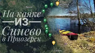 Сплав на каяке из Синево в Приозерск. | Приключения на Карельском перешейке.