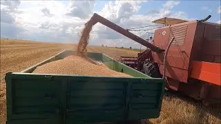 Koszenie Pszenicy/ Akcja Bizon i C-360/ Żniwa 2021/ Nowa Trasa Zjazdowa