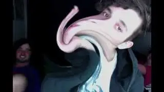 photo booth horse face