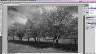 How To Change Color To Black And White In Photoshop