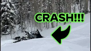 HE RAN HIM OVER! SNOWMOBILING IN THE TREES!